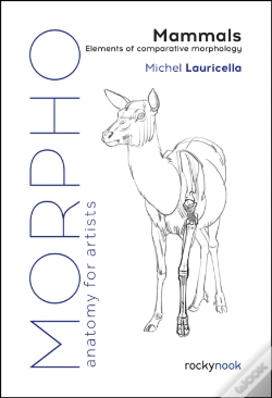 Capa do artigo Morpho: Mammals