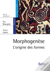 Capa do artigo Morphogenèse ; L