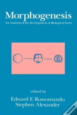Capa do artigo Morphogenesis