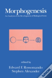Capa do artigo Morphogenesis