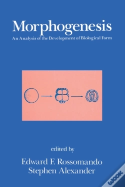 Capa do artigo Morphogenesis