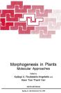 Morphogenesis In Plants - Preview