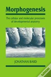 Capa do artigo Morphogenesis