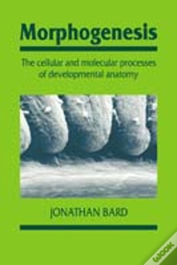 Capa do artigo Morphogenesis