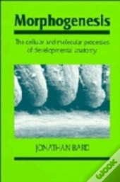 Morphogenesis