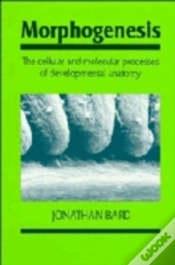 Capa do artigo Morphogenesis