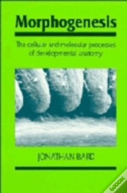 Capa do artigo Morphogenesis