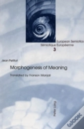 Morphogenesis Of Meaning