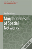 Morphogenesis Of Spatial Networks