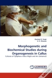 Capa do artigo Morphogenetic And Biochemical Studies During Organogenesis In Callus