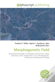 Capa do artigo Morphogenetic Field