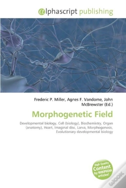 Capa do artigo Morphogenetic Field