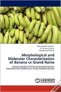 Capa do artigo Morphological And Molecular Characterization Of Banana Cv Grand Naine