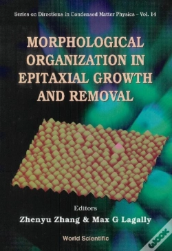 Capa do artigo Morphological Organization In Epitaxial Growth And Removal