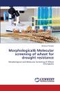 Morphological& Molecular Screening Of Wheat For Drought Resistance - Preview