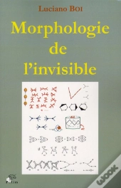 Morphologie De L'Invisible. Transformations D'Objets, Formes De L'Esp Ace, Singularite Phenomenales