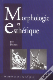 Morphologie Et Esthetique