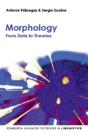 Morphology - Preview