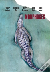 Capa do artigo Morphoses