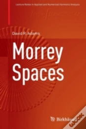 Capa do artigo Morrey Spaces