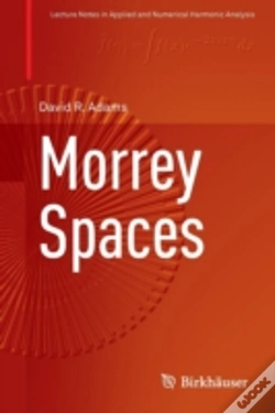 Capa do artigo Morrey Spaces