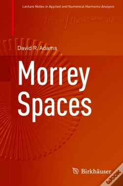Capa do artigo Morrey Spaces