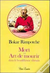 Mort Et Art De Mourir Dans Le Bouddhisme Tibetain