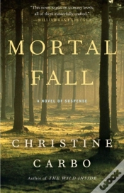 Capa do artigo Mortal Fall