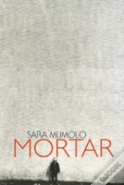 Capa do artigo Mortar