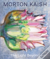 Capa do artigo Morton Kaish