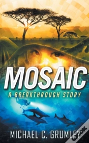 Capa do artigo Mosaic