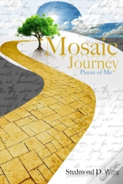 Capa do artigo Mosaic Journey