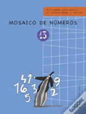 Capa do artigo Mosaico De Numeros 13