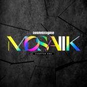 Capa do artigo MOSAIIK - Vinil