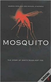 Capa do artigo Mosquito