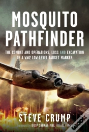 Capa do artigo Mosquito Pathfinder
