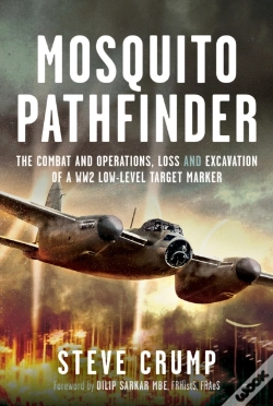 Capa do artigo Mosquito Pathfinder