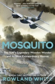 Capa do artigo Mosquito