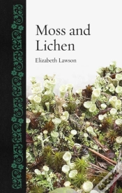 Capa do artigo Moss And Lichen