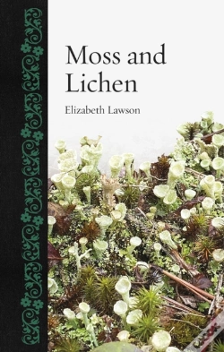 Capa do artigo Moss And Lichen