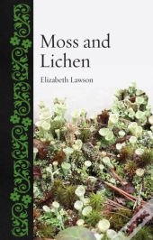 Moss And Lichen