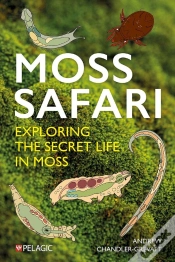 Capa do artigo Moss Safari