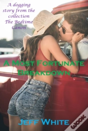 Capa do artigo Most Fortunate Breakdown