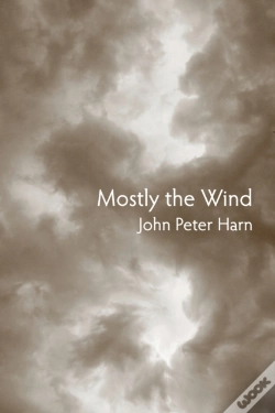 Capa do artigo Mostly The Wind