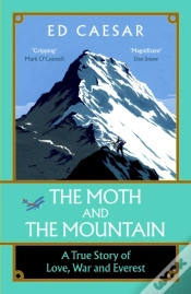 Capa do artigo Moth And The Mountain