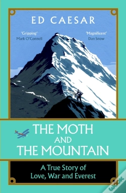 Capa do artigo Moth And The Mountain