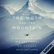 Capa do artigo Moth And The Mountain