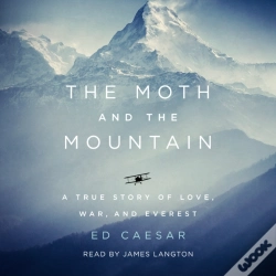 Capa do artigo Moth And The Mountain