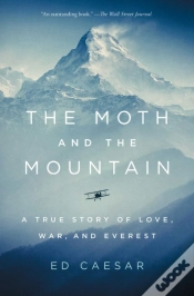 Capa do artigo Moth And The Mountain