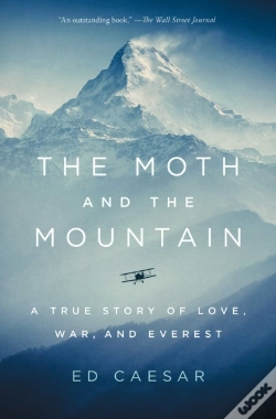 Capa do artigo Moth And The Mountain